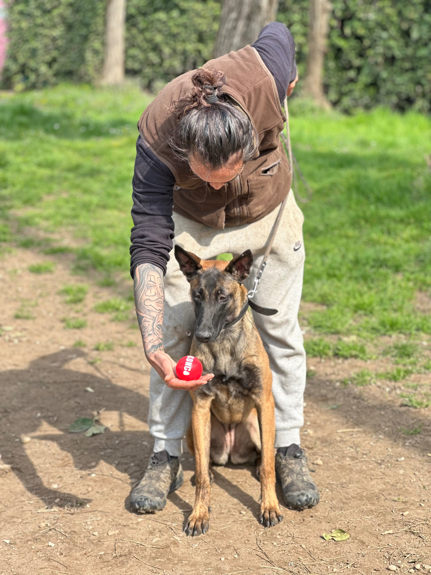 Lavoro pratico con Belgian Malinois
